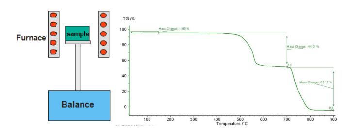 熱重分析（TGA）